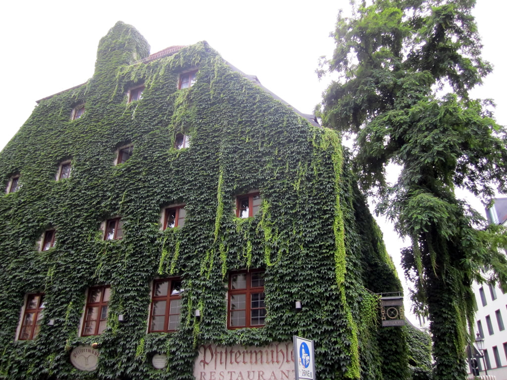 Imagen de Oropesa en Munich viendo un jardin vertical enorme